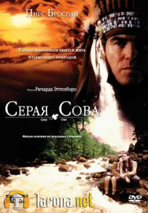 Kulrang boyqush / Rangli boyqush Uzbek tilida O'zbekcha tarjima Kino HD 1998