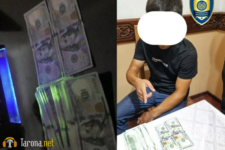 Vestminster universitetiga 10,2 ming dollar evaziga o‘qishga kiritib qo‘yishni vaʼda qilgan shaxs ushlandi